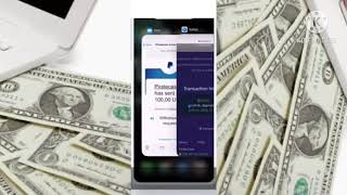 اثبات سحب 100دولار من موقع Piratecash للربح من الانترنت