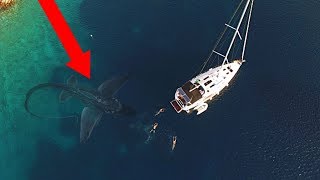 10 Sea Monsters ATTACKING A Boat!