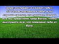 Тихое время с Живой Жизнью: Деяния 10:17–33 (29062018) Тихое время с Живой Жизнью: Деяния 10:17–33 (29062018)