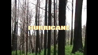 Watch Wafia Hurricane video