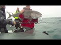 Jigging
