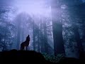Relaxation Music M Sica Relajante Meditaci N Chinese Bamboo Flute images Relaxation Music M Sica Relajante Meditaci N Chinese Bamboo Flute