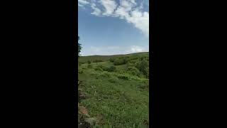 Silah Gündüz Atışı Snap