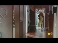 Ivan sanchez sexy en la reina del sur