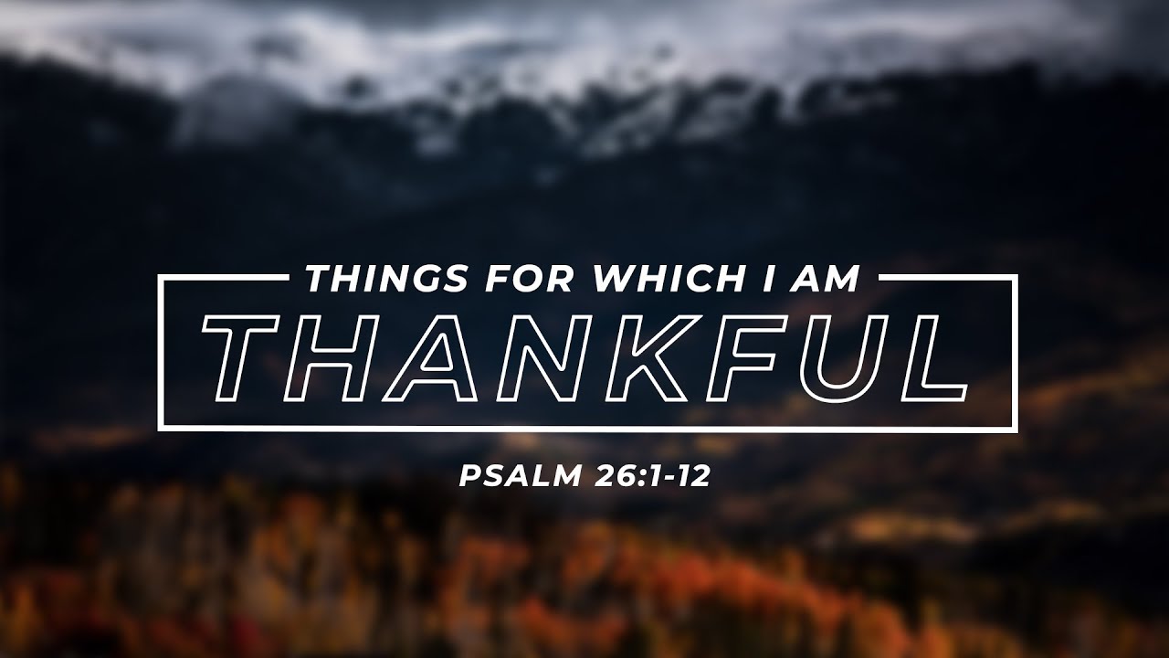 Things For Which I Am Thankful