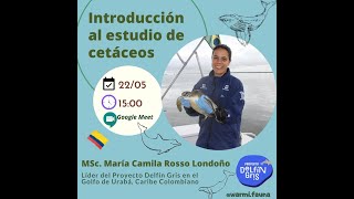 Ponencia Introducción Al Estudio De Cetáceos