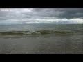 Insect Invasion at Lake Erie - Nature's Weirdest Events - Episode 1 - BBC Two