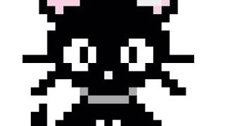 Gato
