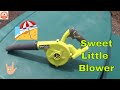 P755 Ryobi 18v Compact Workshop Blower - Does It Blow?