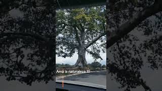 Ama La Naturaleza
