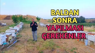Baldan Sonra Yapılması Gereken Detaylı Anlatım Ne Fayda