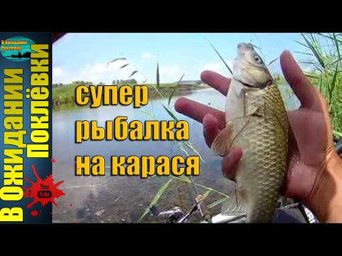 рыбалка на поплавок в казахстане рыбалка нате указатель на казахстане