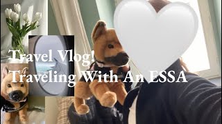 Travel Vlog Traveling With An Essa