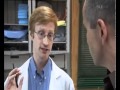 How does marijuana effect the brain? default How does marijuana effect the brain?