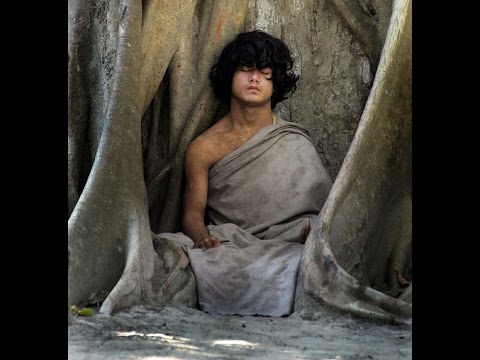 15 year old Yogi. No eat, no drink, no sleep... Only Meditation! 15 year old Yogi. No eat, no drink, no sleep... Only Meditation! #1