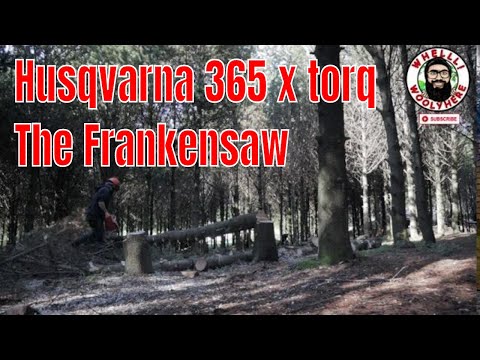 Husqvarna 365 x-torq The Frankensaw!
