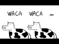 translate