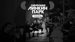 Linkin Park Symphony - Crawling | Cagmo Live #Cagmo #Orchestra #Lpsym #Linkinpark #Violin #Flute