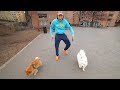 Mehmet - I'm The Original (DISSTRACK)