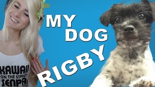 Legendarylea My New Dog Rigby