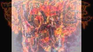Watch Jungle Rot Infectious video