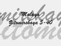 Видео Malaya Zhitomirskaya 5, 40