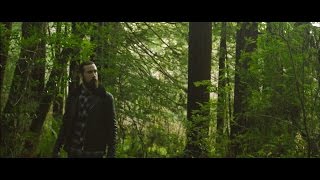 Avriel & The Sequoias - Fields And Pier