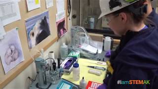 #iamSTEMak - The Environmental Scientist