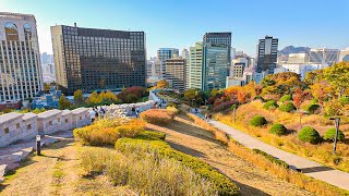 Walking Along Namsan Seoul Tower And The Beautiful Autumn Foliage Trail Korea Travel 4K Hdr