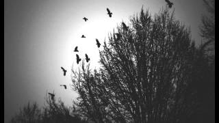 Watch Skeeter Davis I Say A Little Prayer video