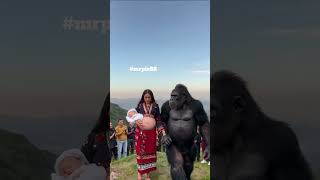 Gorilla And Human Friend Under Beautiful Sky