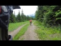 Whistler Bike Park Dh 2014 Go Pro Crabapple Hits Dirt ...