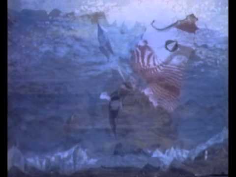 Circles Video