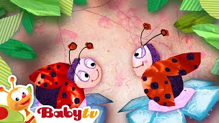 Fui Al Jardín Celestial Babytv Español