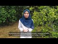 Video Resume | UTM | Science Geoinformatics | Nurul Nafisah Binti Jamal