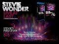 Stevie Wonder - Master Blaster (Jammin) (Live At Last)