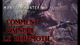 Watch Behemoth Comment video