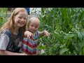 How to use raised beds in your garden - youtube