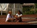 Sueños de chocolate - Presentaciones del chocolate
