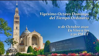 La Misa el 28º Domingo del Tiempo Ordinario