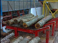 holz