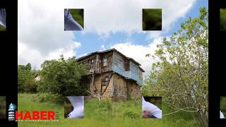 Web TV 5 mqdefault