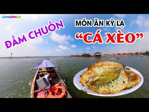 DU LỊCH HUẾ | Trải nghiệm Bánh Xèo Cá Kình tại Đầm Chuồn siêu đẹp