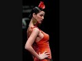 Go Flamingo.wmv