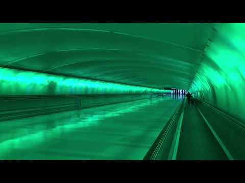 Detroit Metro Airport (DTW) Light Tunnel