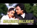 Malligaiye Malligaiye | Periya Veetu Pannakkaran Movie Songs | K. S. Chithra, K. J. Yesudas
