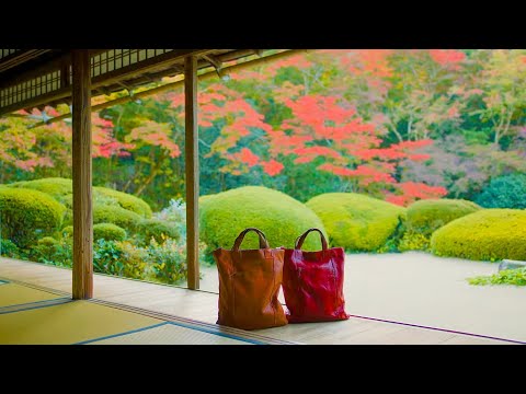 京都 詩仙堂 紅葉の絶景(4K)カエデ・エリシア京都 caede|L’ELISIR KYOTO-PV5 [KYOTO Shisen-do Autumn leaves 4K movie]
