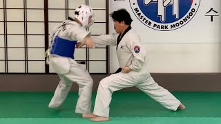 Poomsae / Taegeuk / Sam Jang / 품새 / 태극 / 삼장 / Master Park Moon Soo
