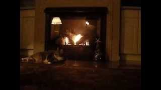 Watch Bob Dylan Christmas Island video