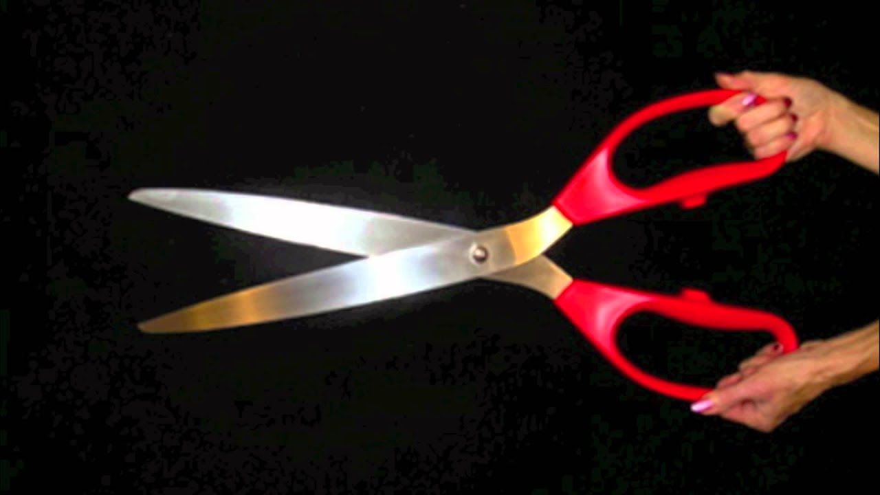 Webcam scissor
